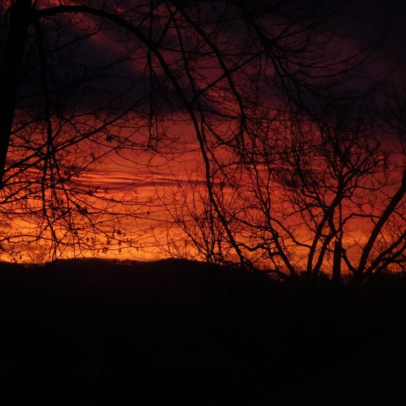 Meet your Posher, Jozelynn - Picture 1 of 1